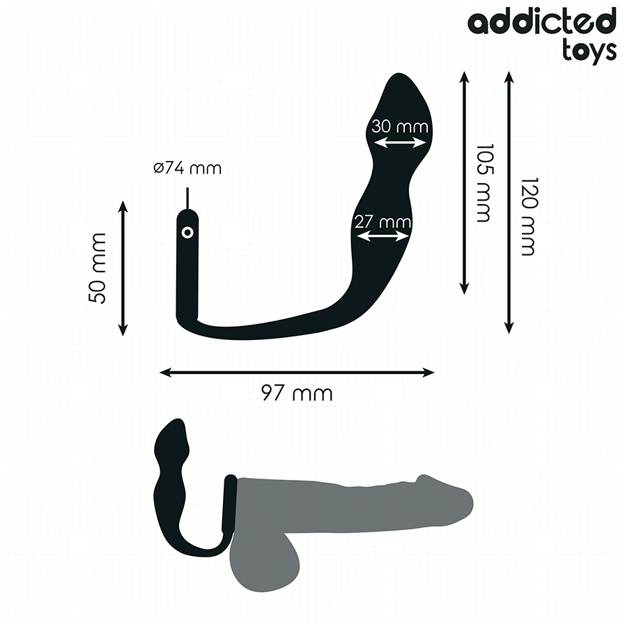 ADDICTED TOYS - ANALPLUG MIT RING MODELL 2